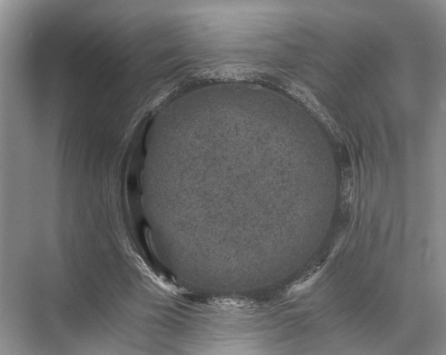 X0000072960585200607282258