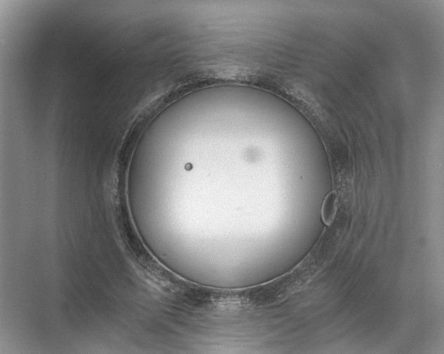 X0000072960587200607282258