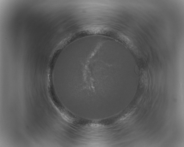 X0000072960590200607282258