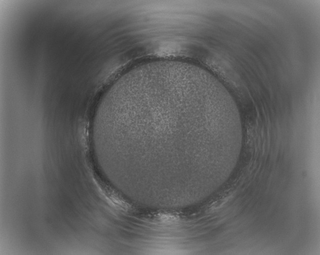 X0000072960592200607282258