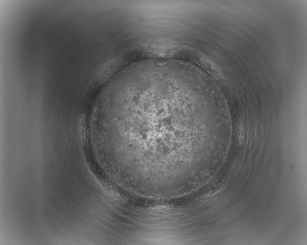 X0000072960594200607282258