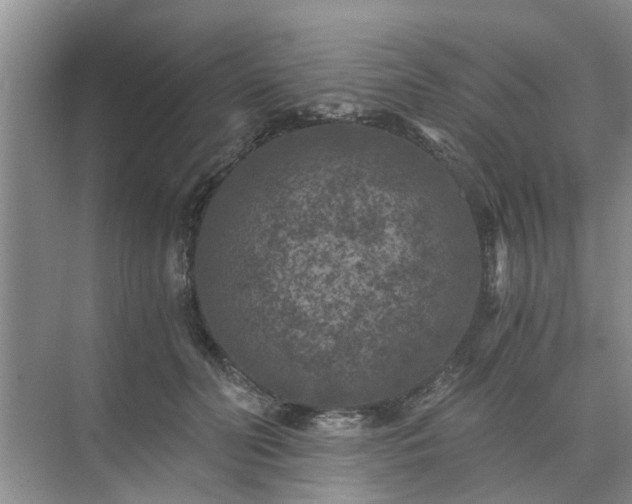 X0000072960606200607282258