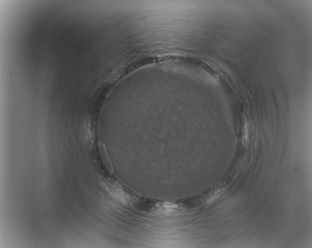 X0000072960607200607282258