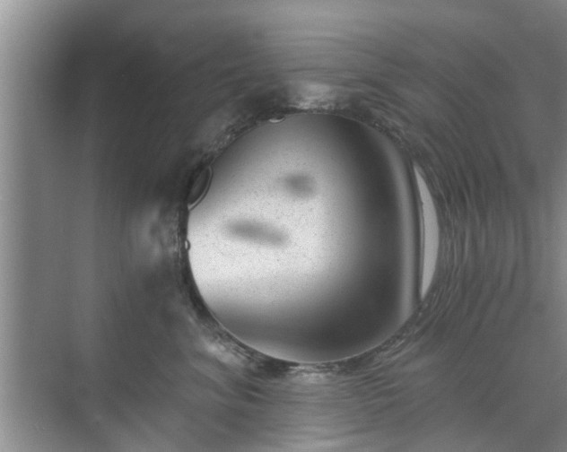 X0000072960620200607282257