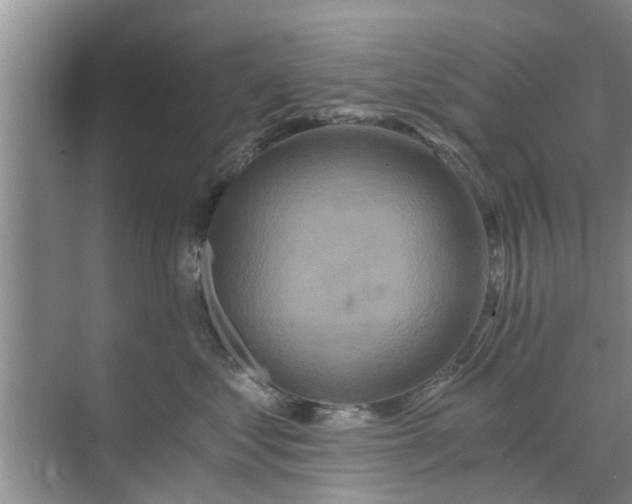 X0000072960621200607282257