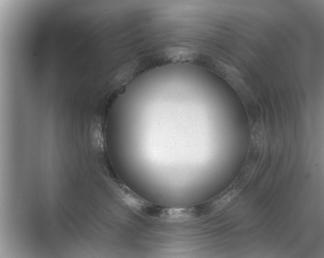 X0000072960622200607282257