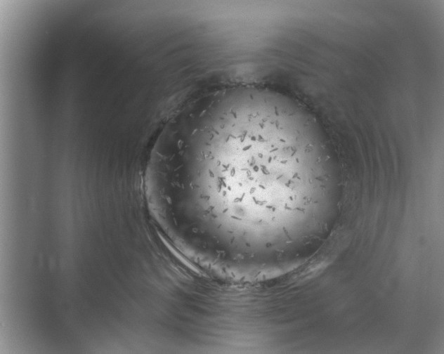 X0000072960624200607282257