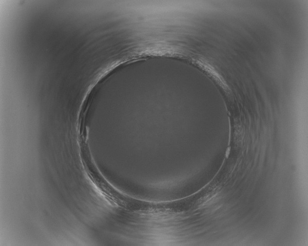 X0000072960626200607282257