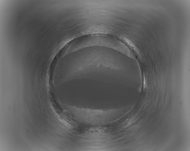 X0000072960627200607282257