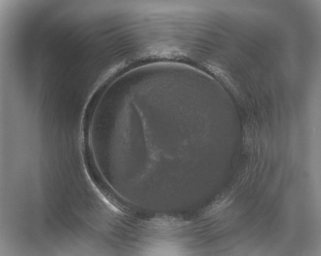 X0000072960630200607282257