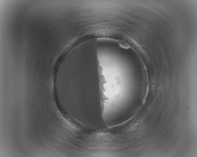 X0000072960637200607282257