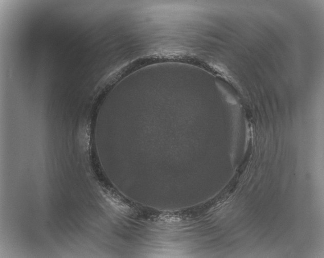 X0000072960640200607282257