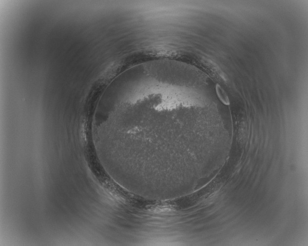 X0000072960643200607282257