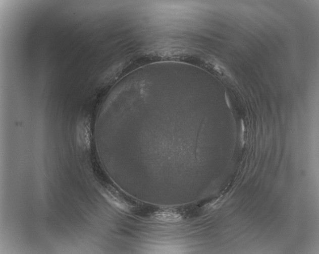 X0000072960644200607282257