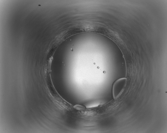 X0000072960645200607282257