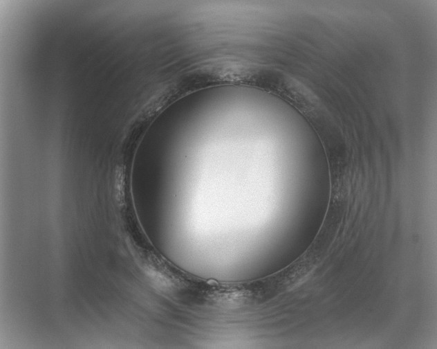 X0000072960646200607282257