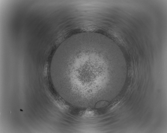 X0000072960647200607282257