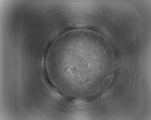 X0000072960648200607282257