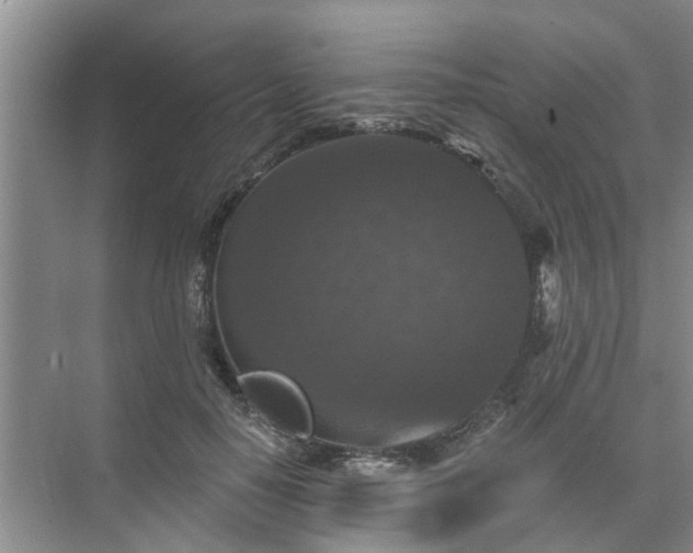 X0000072960650200607282257