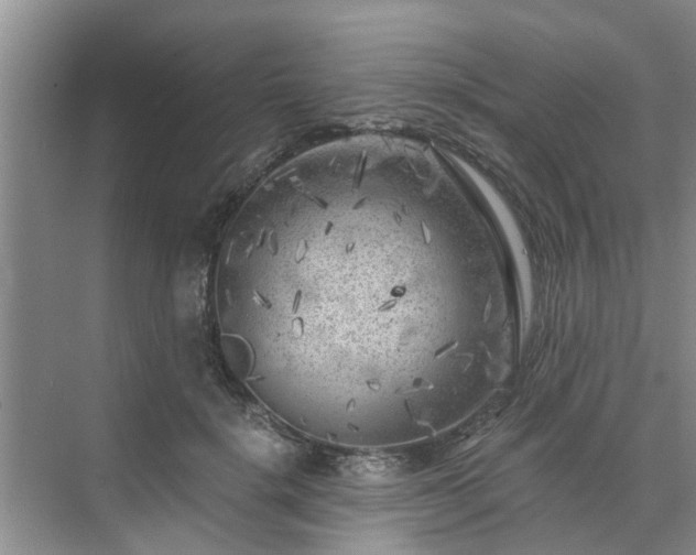 X0000072960652200607282257