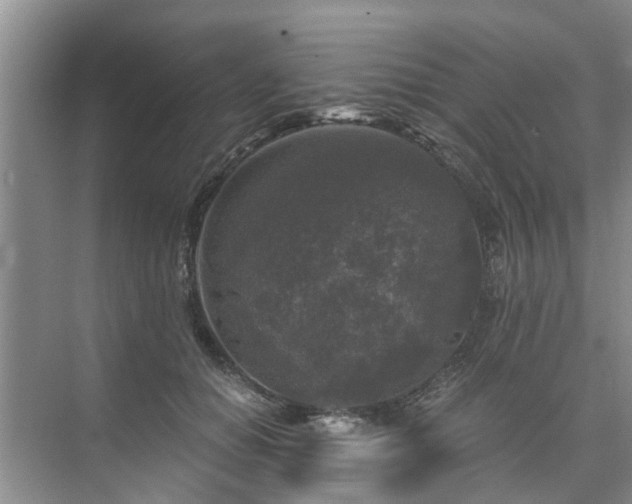 X0000072960654200607282257