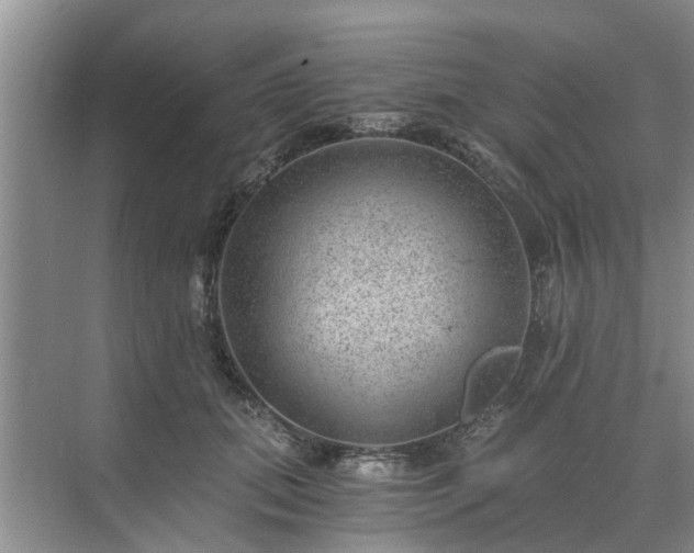 X0000072960655200607282257