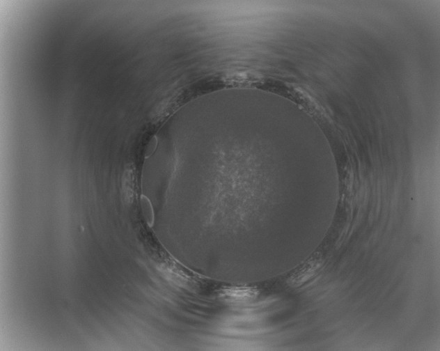 X0000072960659200607282257