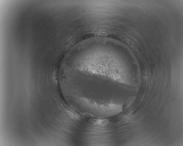 X0000072960663200607282257