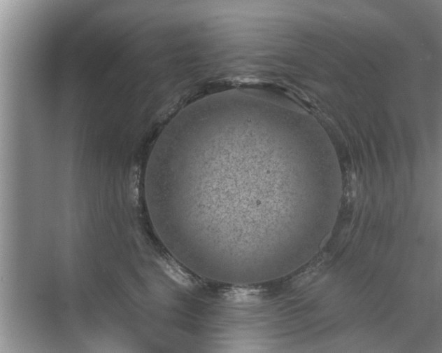 X0000072960664200607282257