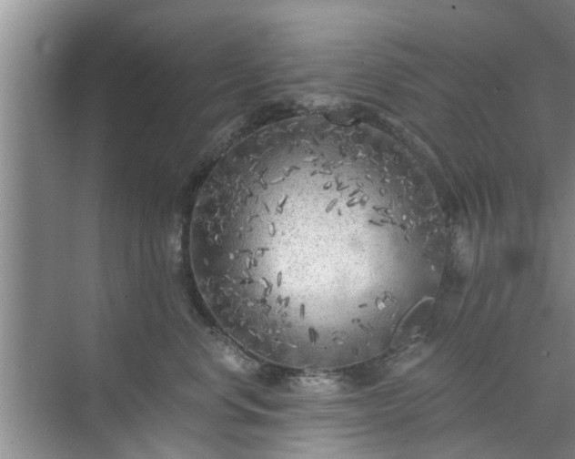 X0000072960668200607282257