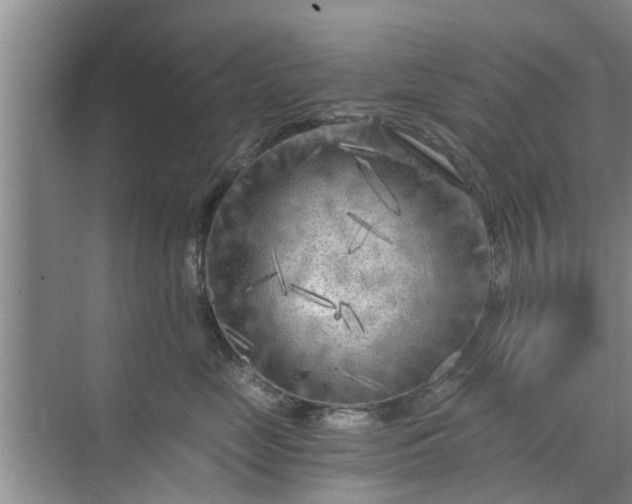 X0000072960669200607282257