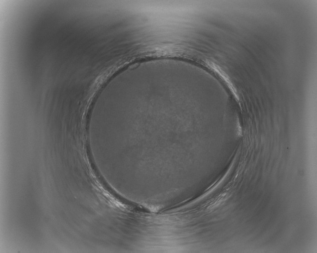 X0000072960673200607282256