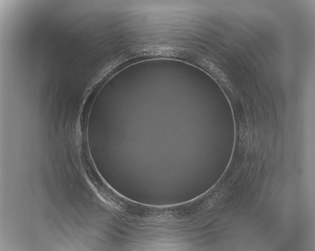 X0000072960674200607282256