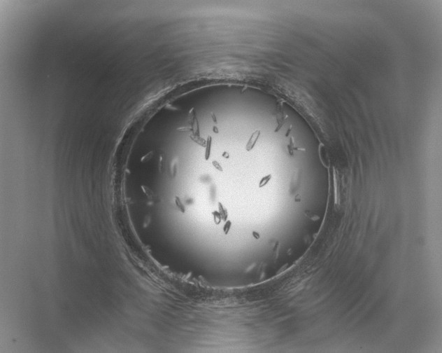 X0000072960675200607282256