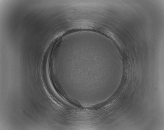 X0000072960677200607282256