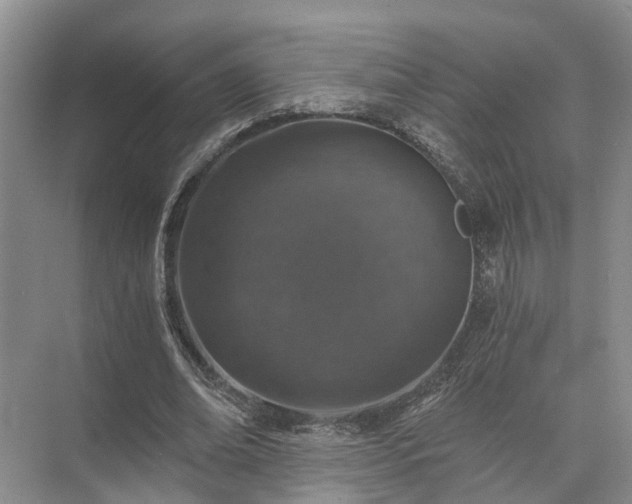 X0000072960678200607282256