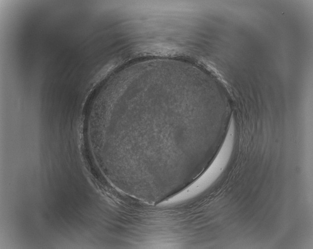 X0000072960679200607282256