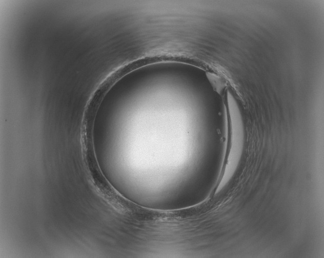 X0000072960680200607282256