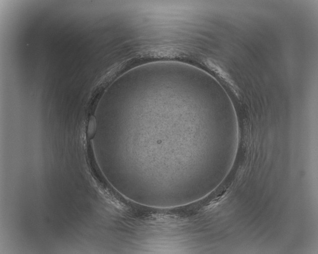 X0000072960681200607282256