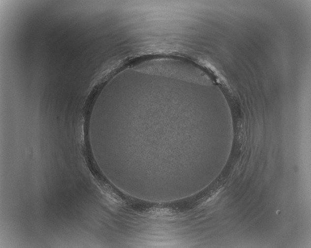 X0000072960685200607282256