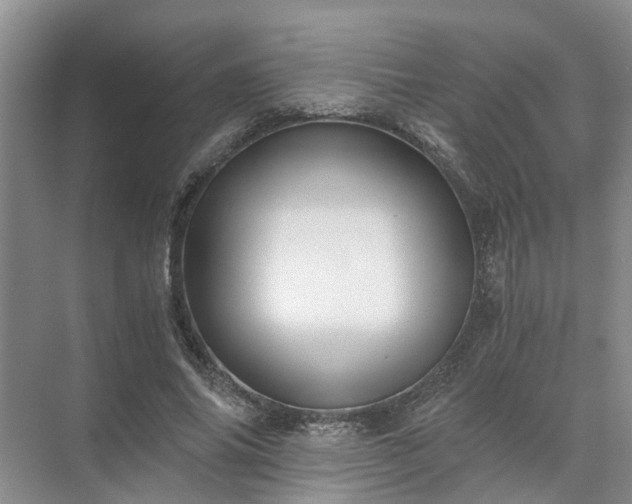 X0000072960686200607282256