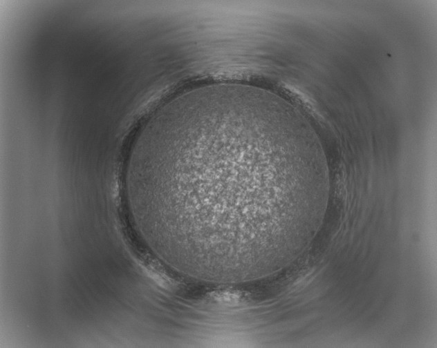 X0000072960687200607282256