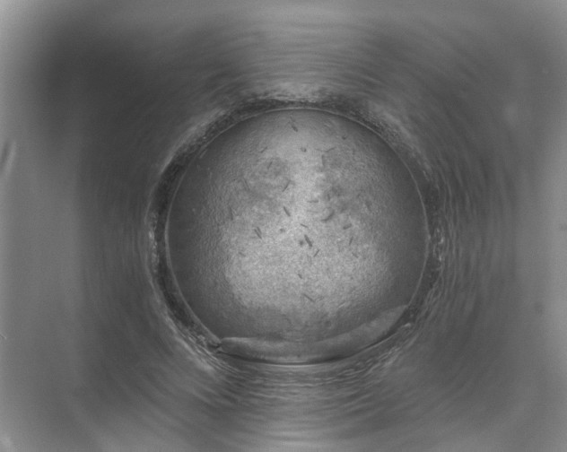 X0000072960688200607282256