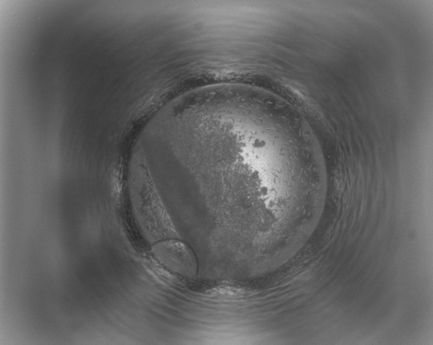 X0000072960691200607282256