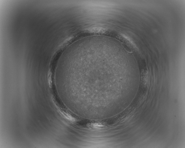 X0000072960692200607282256