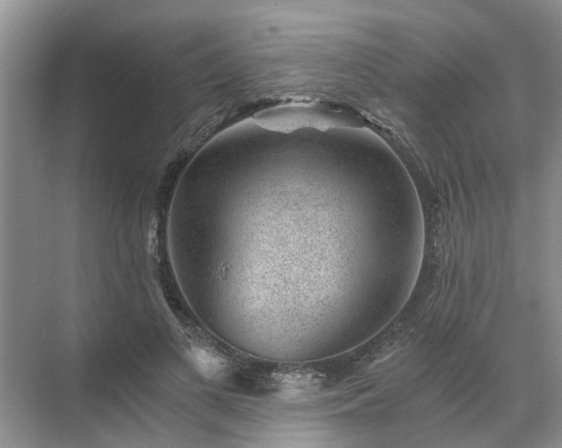 X0000072960693200607282256