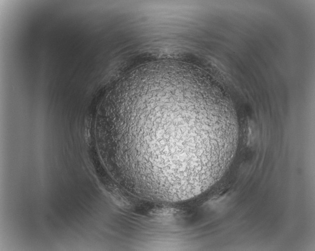 X0000072960695200607282256