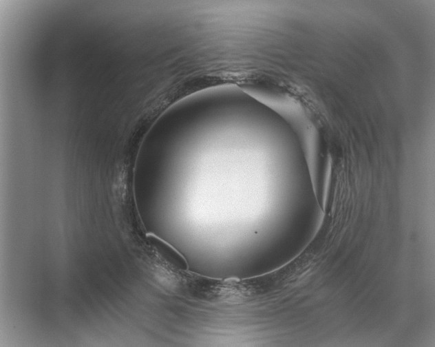 X0000072960697200607282256