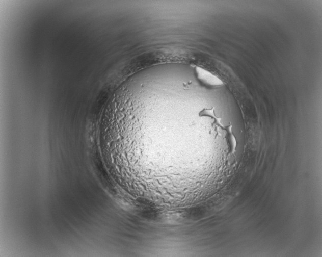 X0000072960701200607282256