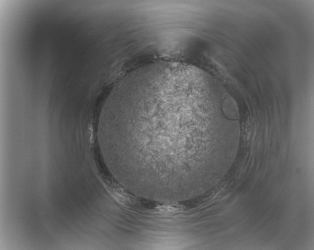 X0000072960703200607282256